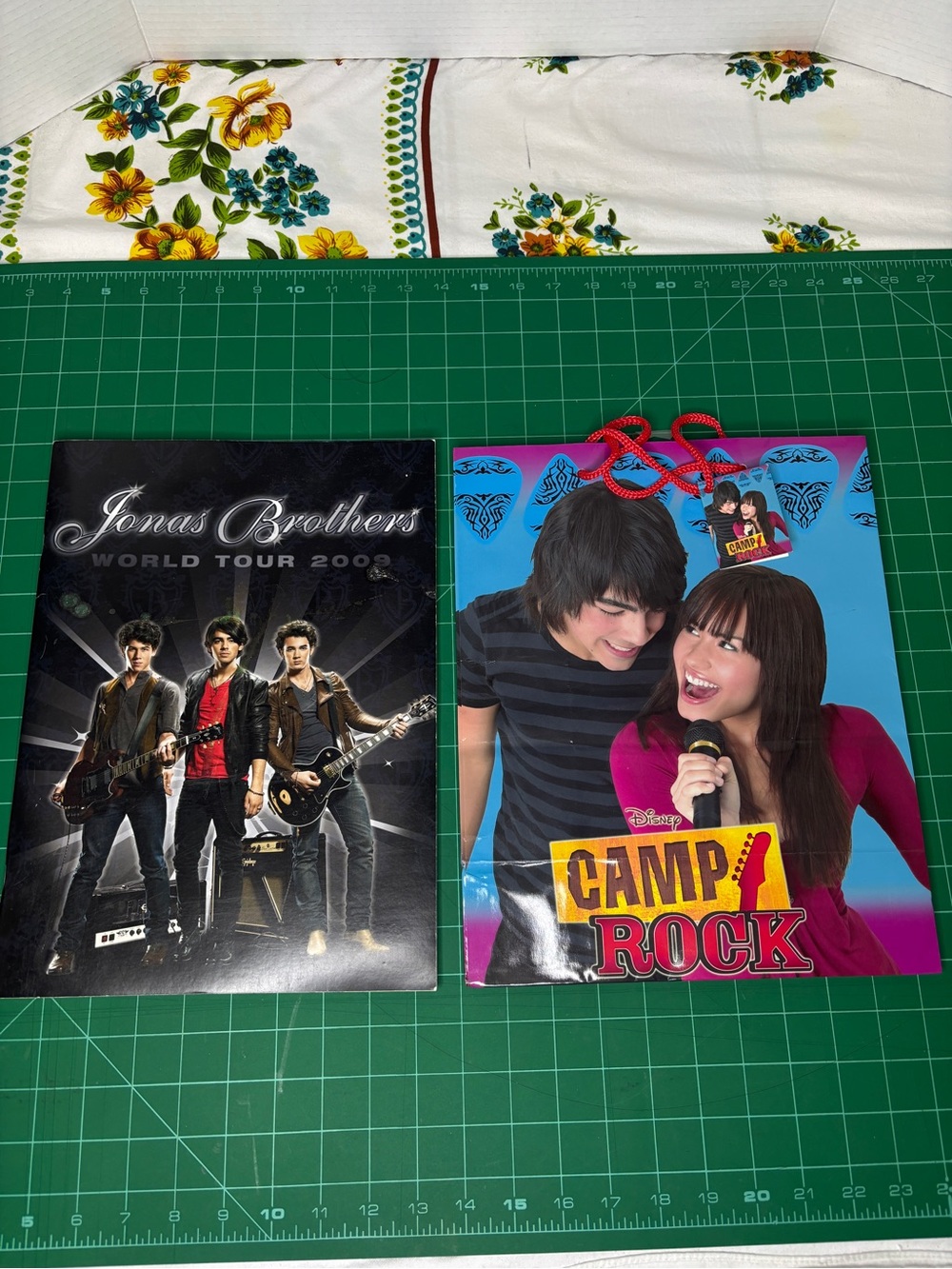 Jonas Brothers World Tour 2009 Magazine & Camp Rock Gift Bag Lot Collectibles